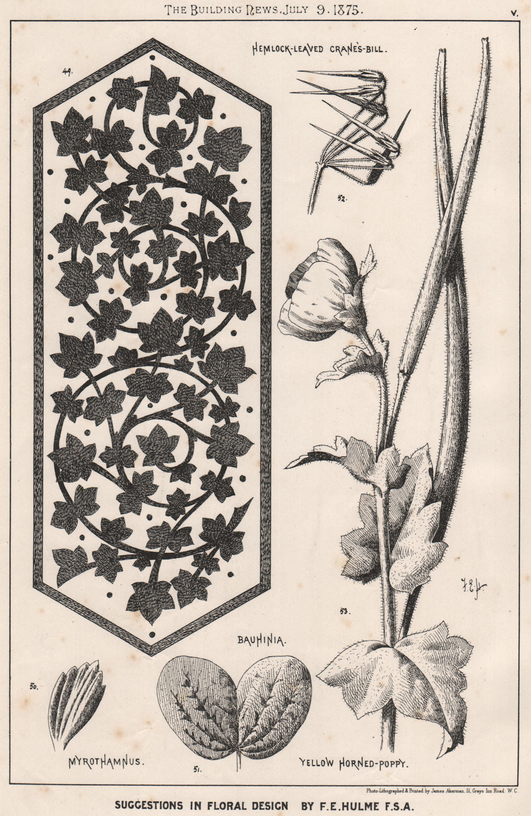 Suggestions in Floral; Design by F.E. Hulme F.S.A.. Decorative (4) 1875 print